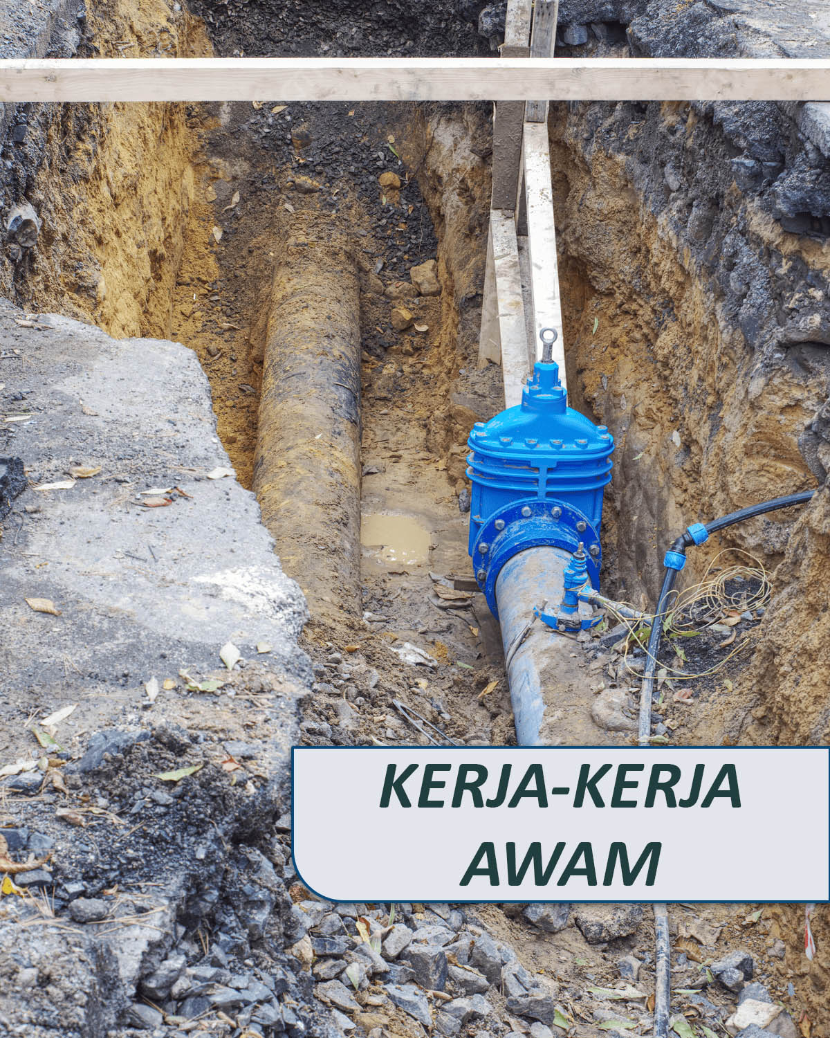 Untitled-1_0001_Group 1 copy 5 Untitled-1_0001_Group 1 copy 5