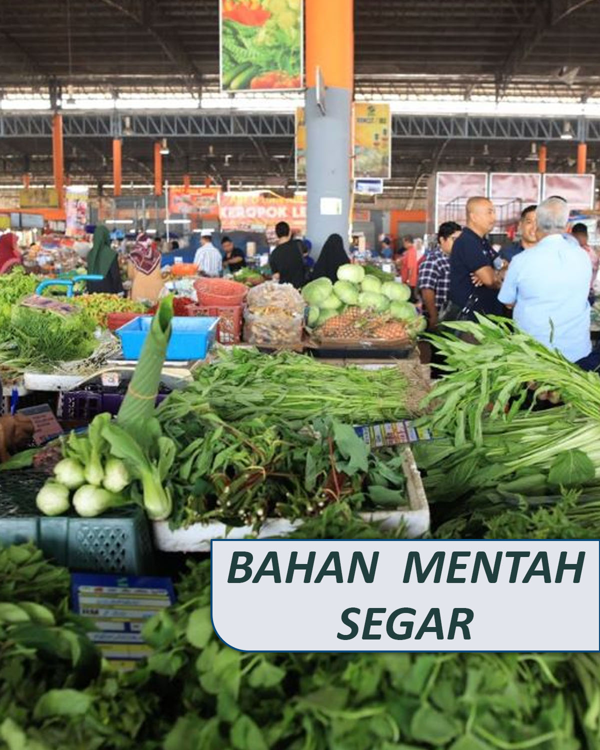 Untitled-1_0003_MKM copy 2 Untitled-1_0003_MKM copy 2