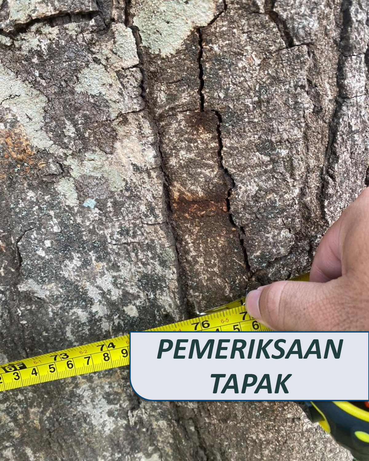 Untitled-1_0004_Group 1 copy 7 Untitled-1_0004_Group 1 copy 7