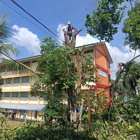 pokok 1