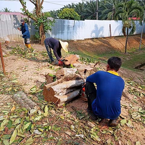 pokok 2